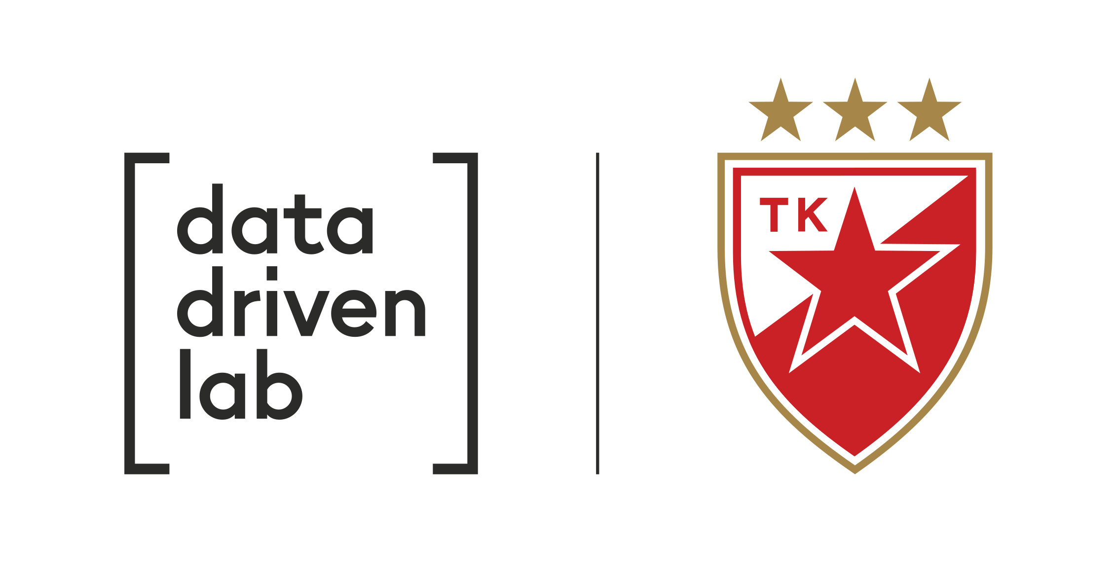 ddl-tk-joint-logo9469